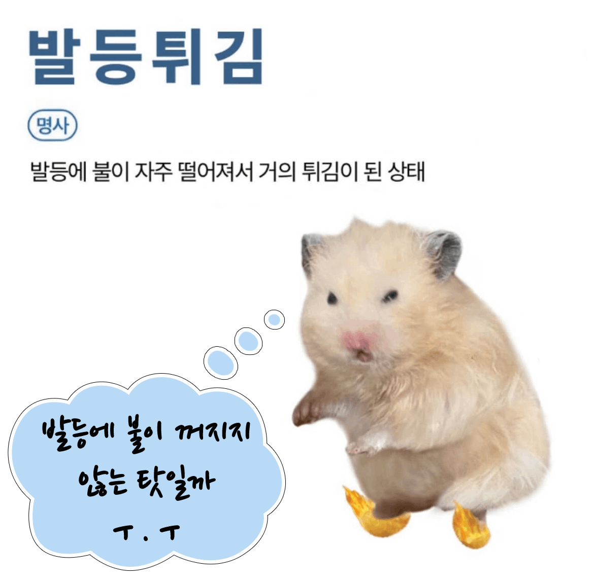 [테모모] 앗뜨거! 발등튀김 모임