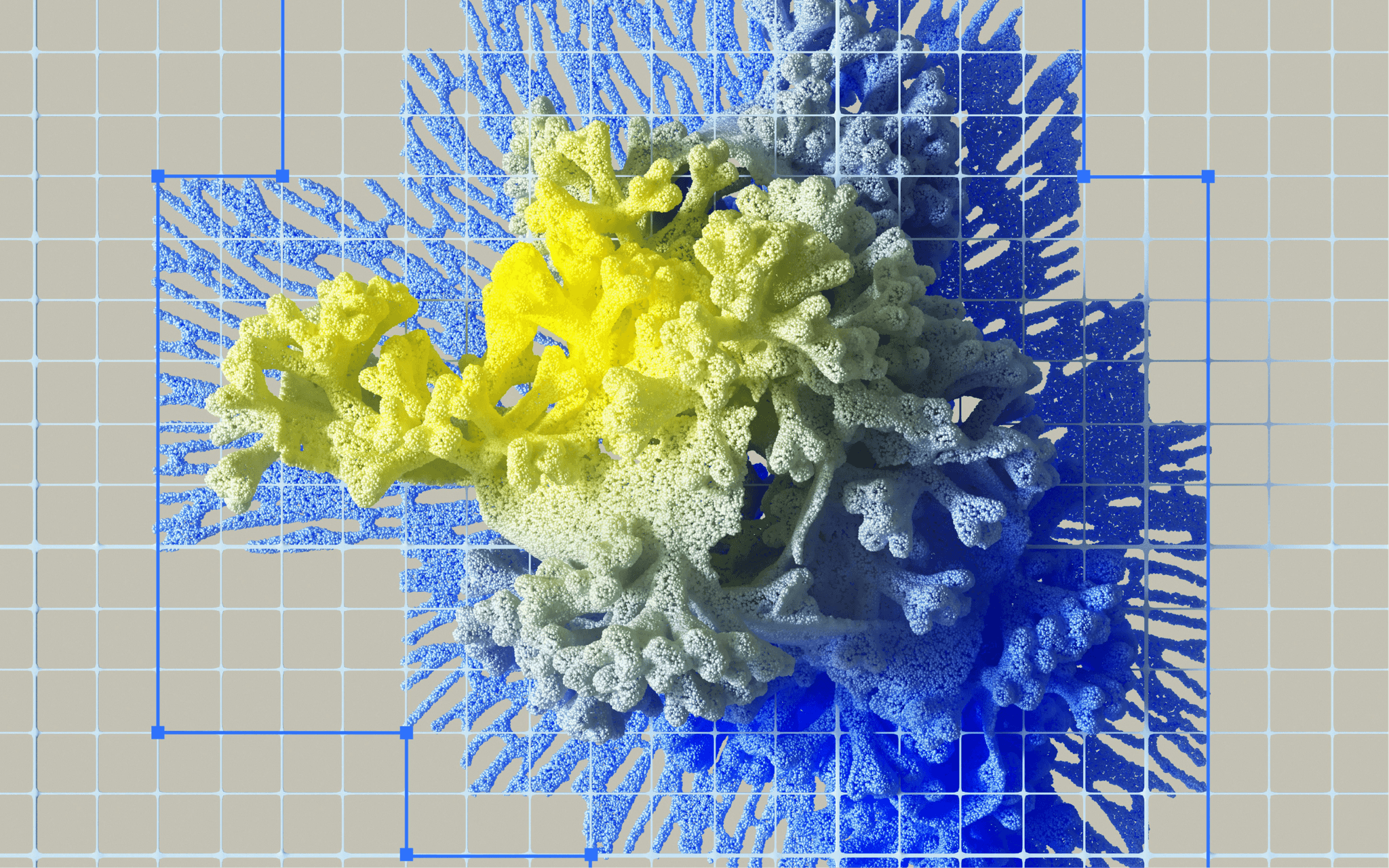 lab
