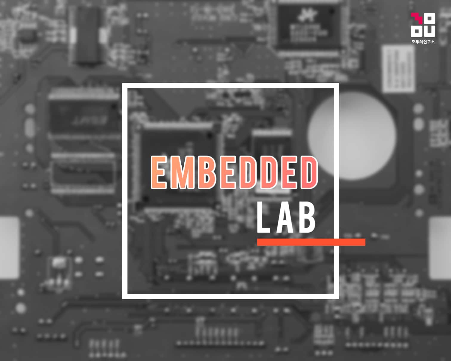 lab
