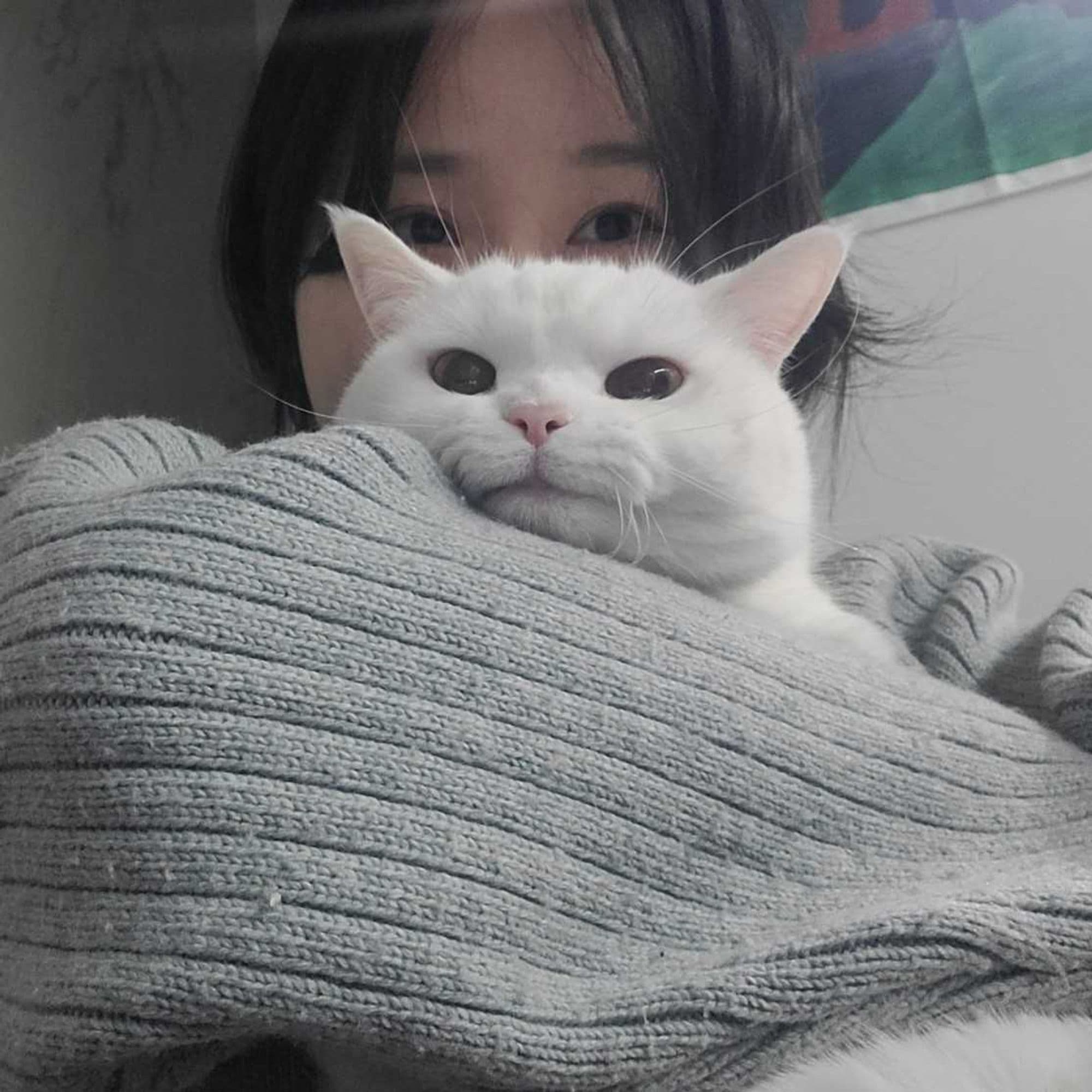 홍민지