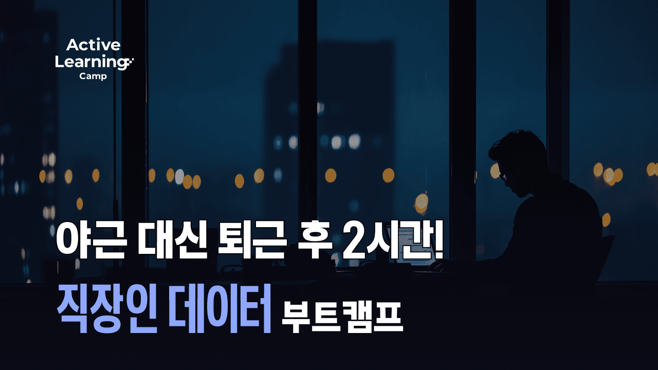 직장인 데이터분석 부트캠프|SQL·파이썬·Looker Studio로 실무형 데이터 역량 완성